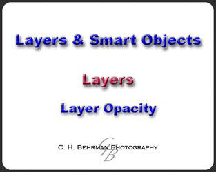L02 - Layer Opacity