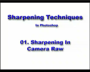 01 Camera Raw Sharpening