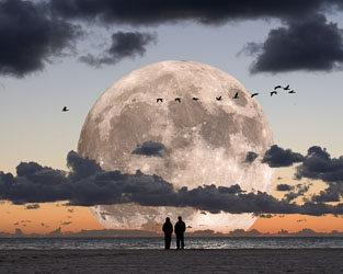 California Coast Ltd Edition Prints