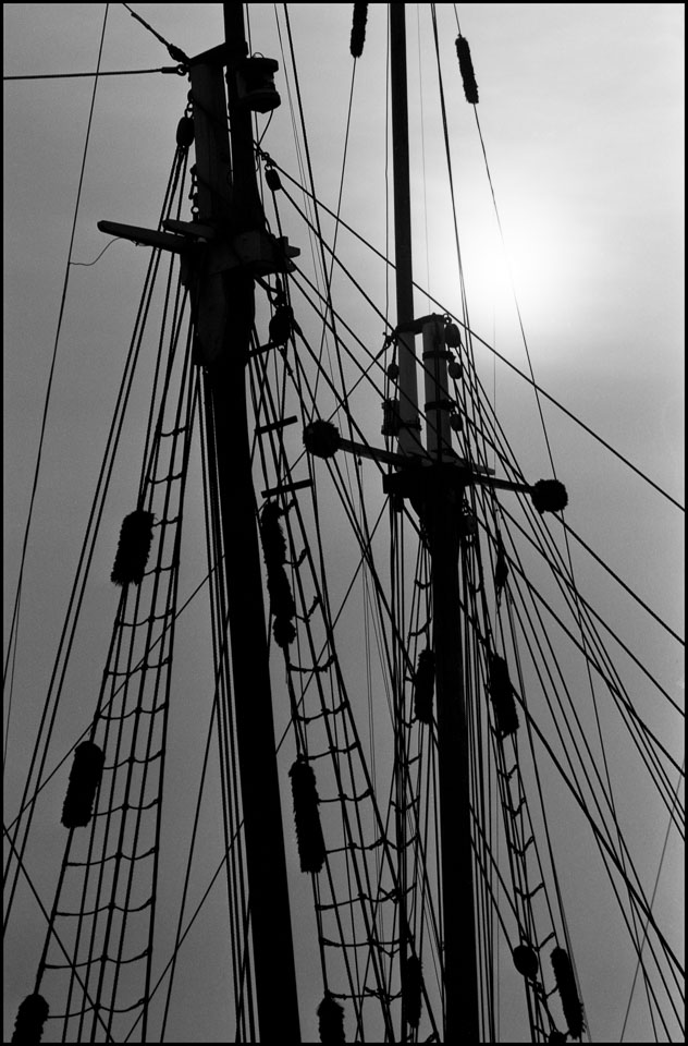 Foggy-Rigging.jpg