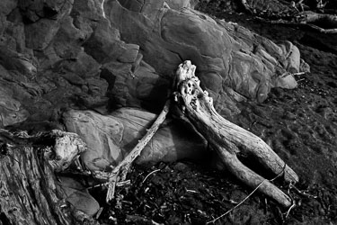 Cambria-Driftwood-Couple.jpg
