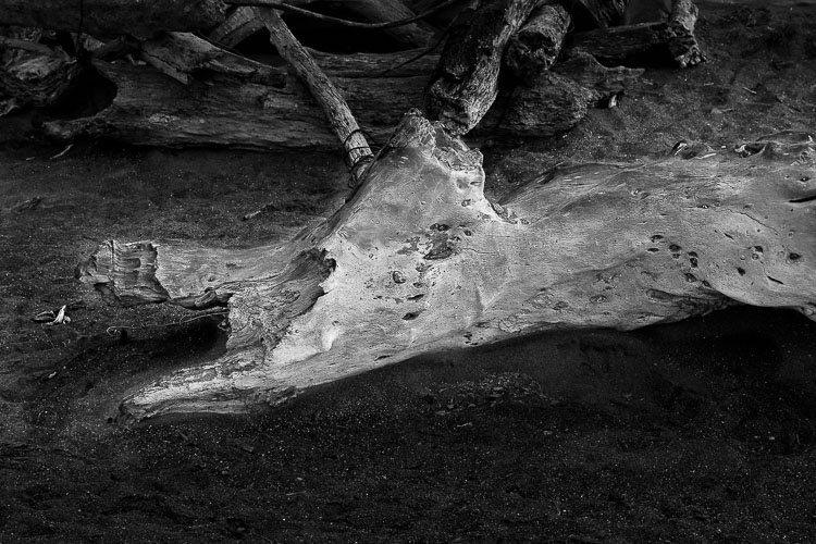 Cambria_Nov_2008-0322-PS.jpg Cambria_Nov_2008-0322-PS.jpg