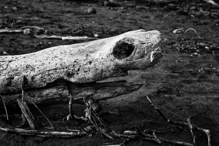 Cambria_Nov_2008-0407-PS.jpg Cambria_Nov_2008-0407-PS.jpg