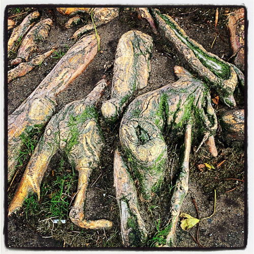 Enchanted-Landscape_2019-06-05.jpg Enchanted-Landscape_2019-06-05.jpg