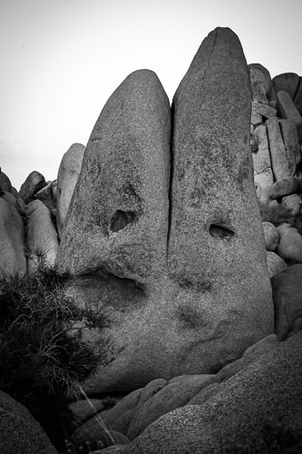 JoshuaTree_10Dec2011-0320.jpg JoshuaTree_10Dec2011-0320.jpg