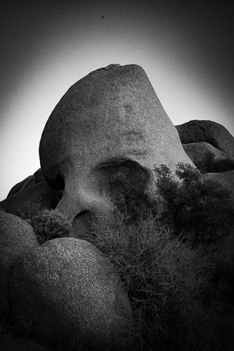 JoshuaTree_10Dec2011-0345.jpg JoshuaTree_10Dec2011-0345.jpg