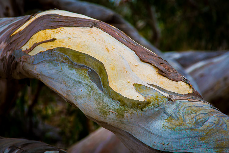 Montana-de-Oro_03Aug2018-0217.jpg Montana-de-Oro_03Aug2018-0217.jpg