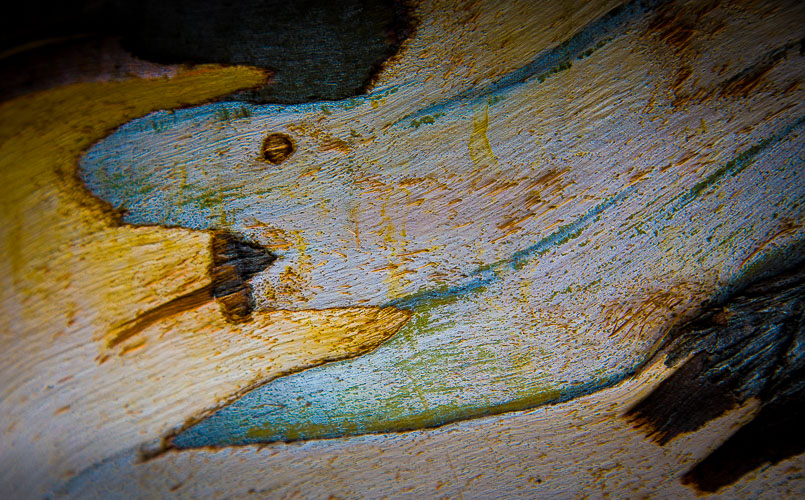 Montana-de-Oro_03Aug2018-0257.jpg Montana-de-Oro_03Aug2018-0257.jpg