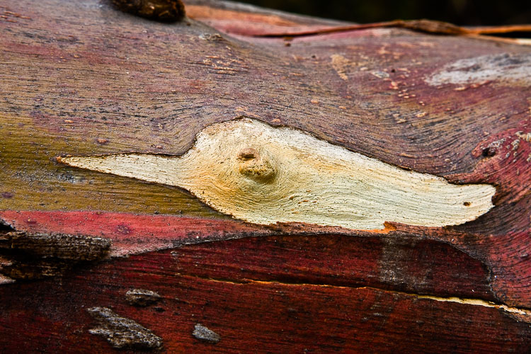 MontanaDeOro_060309-0024-162.jpg MontanaDeOro_060309-0024-162.jpg