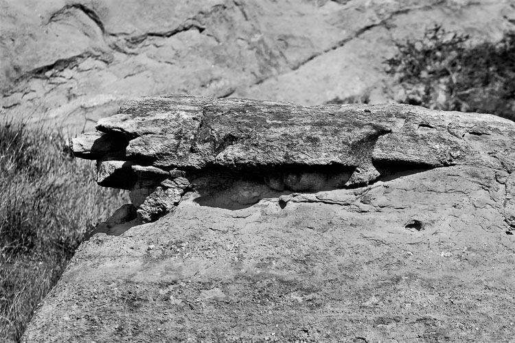 One Or Two Vasquez-Rocks053004-019a.jpg